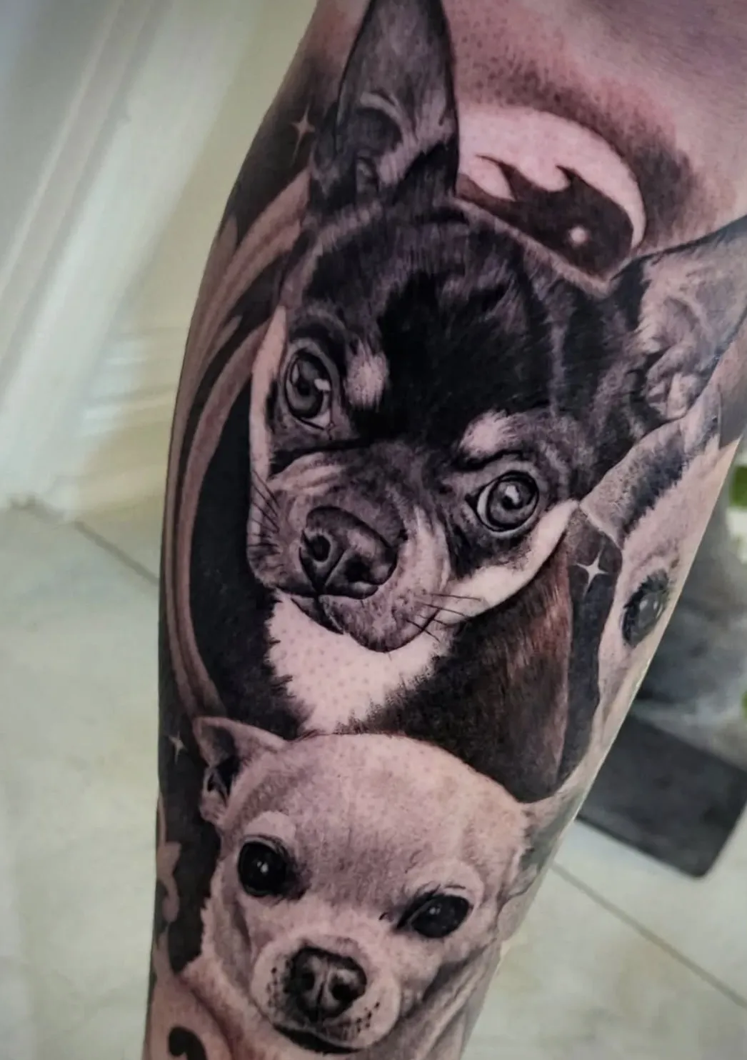 Realistic chihuahua dog portrait tattoo with exceptional detail